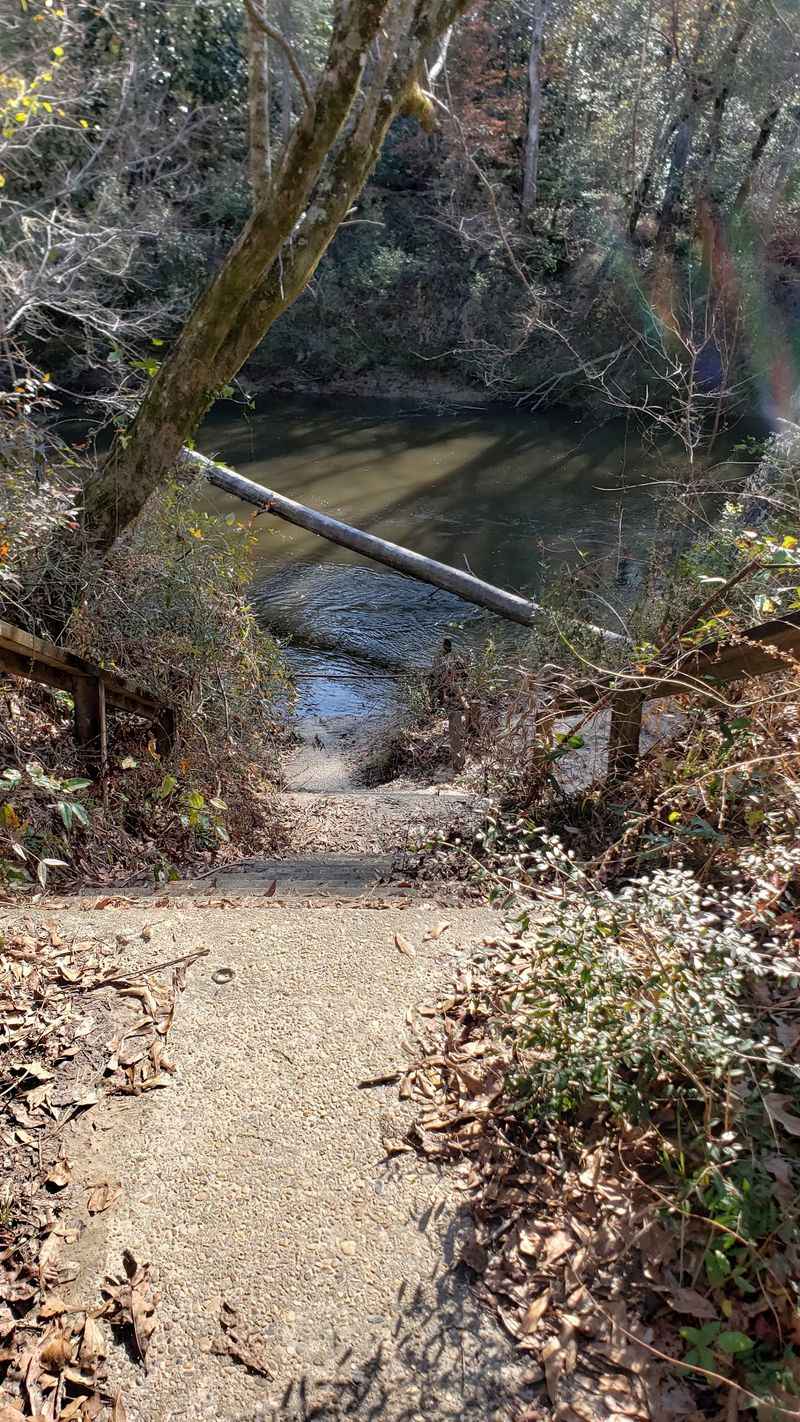 Janice Landing/ US Forest Service