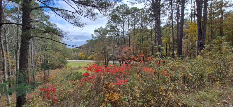 Twentymile Bottom Overlook