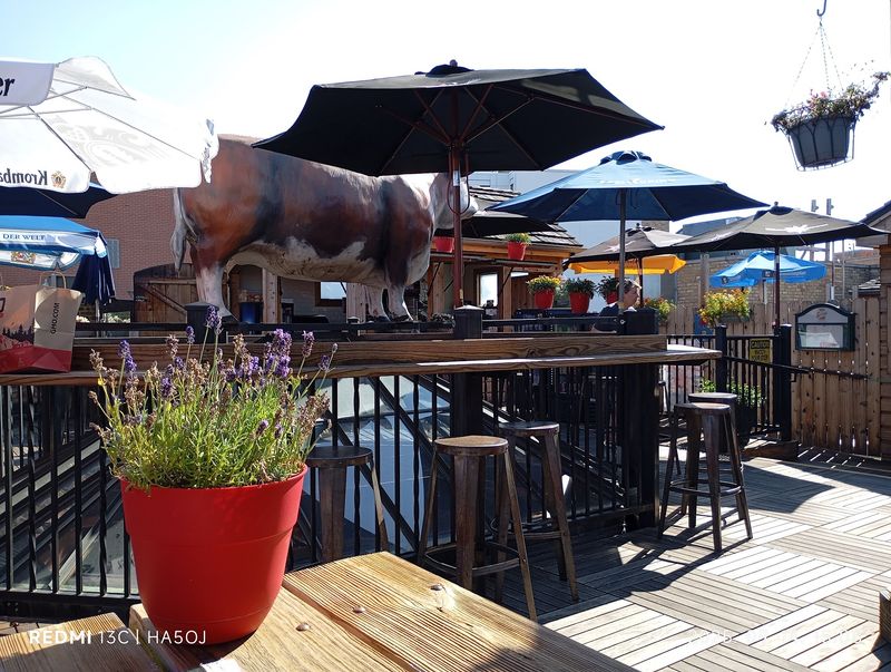 The Rooftop Deck That Changed Everything