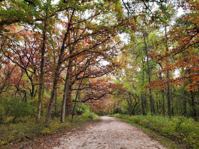 Plan Your Perfect Trail Day
