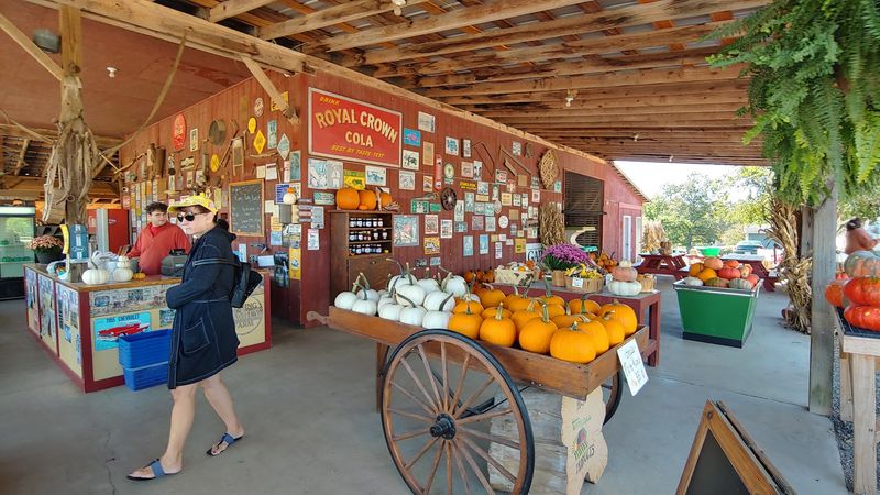 Coning Family Farm Market