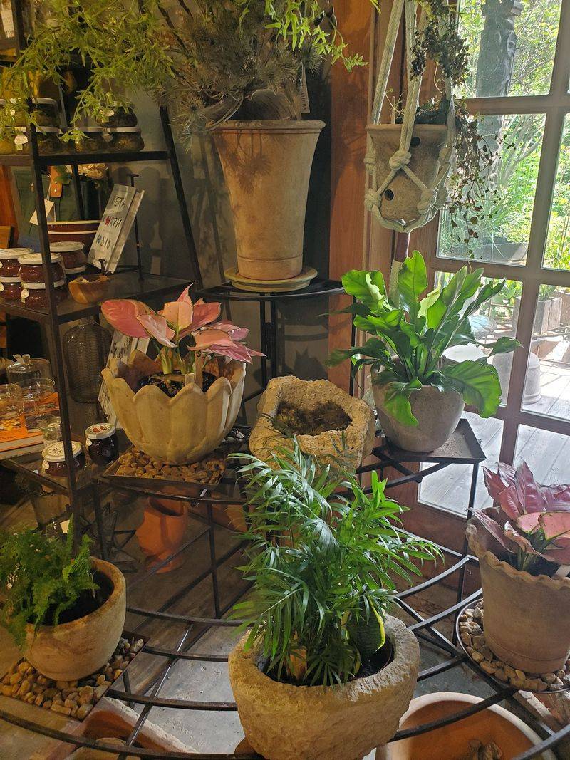 Treasures In Stone, Iron, Bronze, And Glass