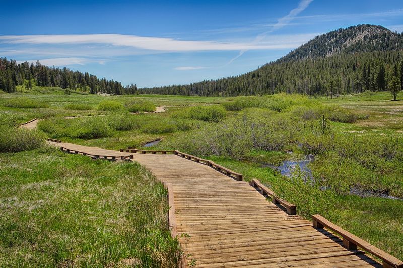 A Meadow Perched Near The Top Of Mt. Rose Highway