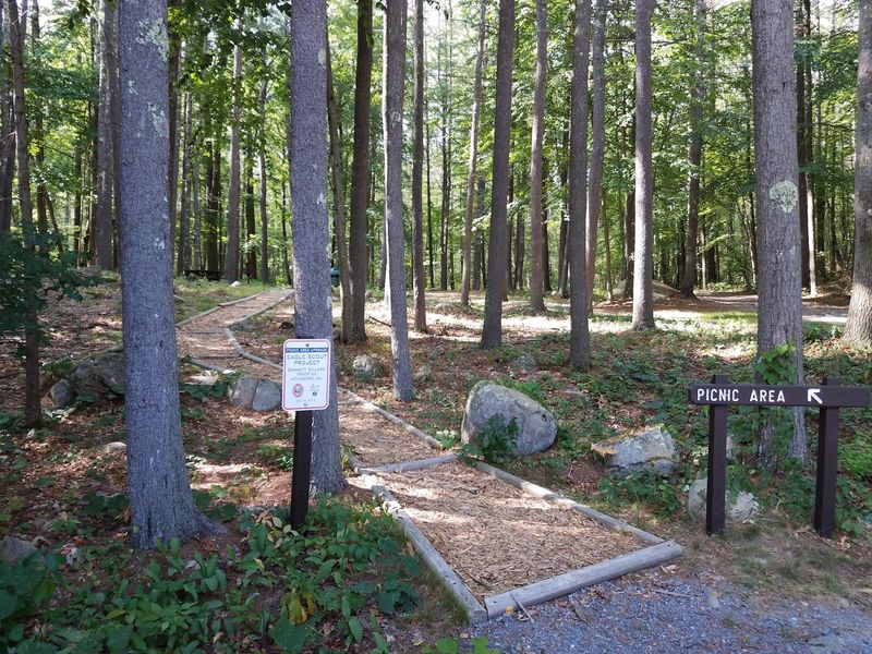 F. Gilbert Hills State Forest