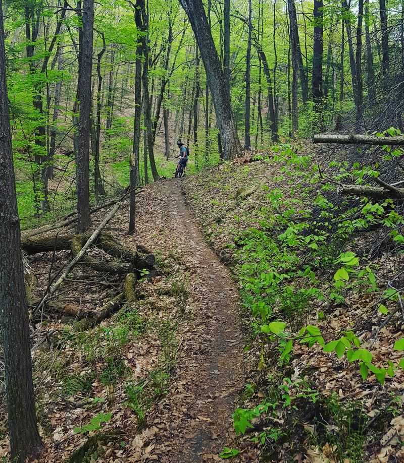 Mount Holyoke Range State Park