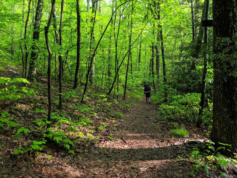 Mount Everett State Reservation