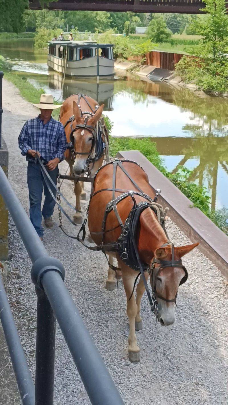 A River Bend In Wood County Where The Canal Era Never Ended