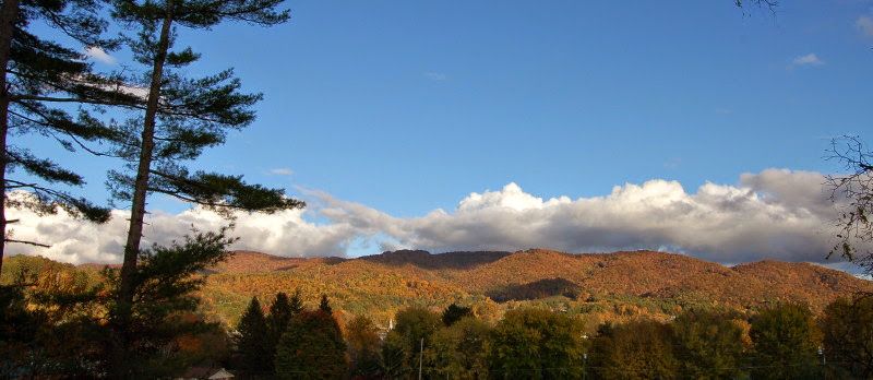 The Snake And Other Roads Worth Driving