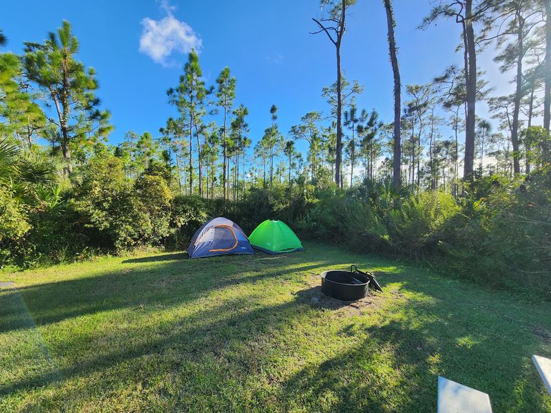 Long Pine Key Campground, Homestead