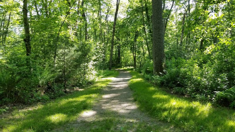 Bradley Palmer State Park