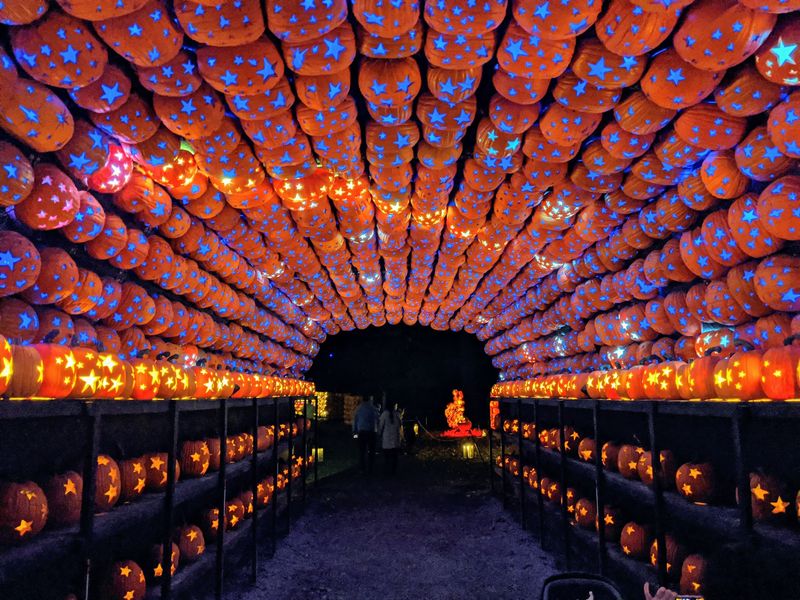 The Great Jack O'Lantern Blaze: Hudson Valley, Croton-On-Hudson, NY