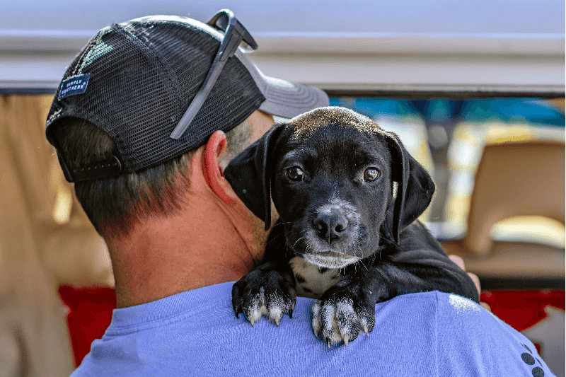 Young-Williams Animal Center