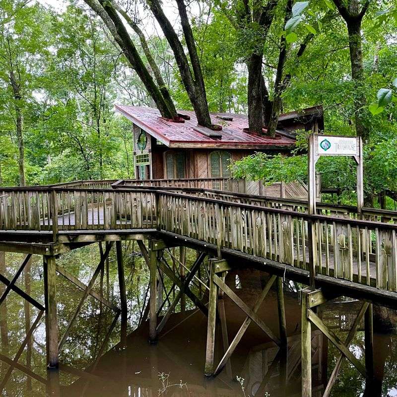 The Blue Heron Boardwalk And Accessible Exploring