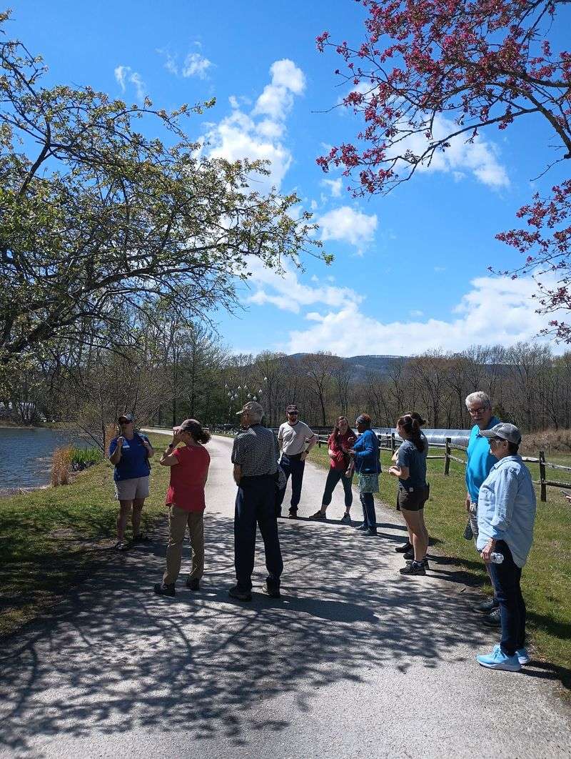 Blue Heron Boardwalk And Accessibility On The Ground
