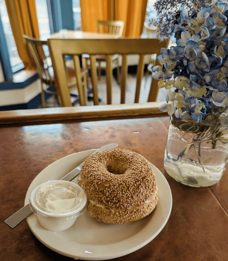 The Siren and The Sea: Books and Coffee - South Wedge