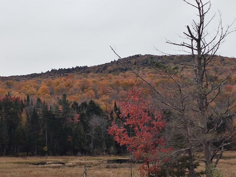High Peaks Country And Its Big Game Reputation