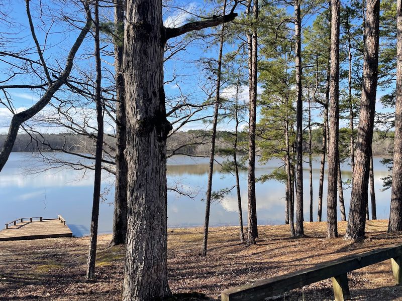 Fishing Piers, A Boat Ramp, And Patience