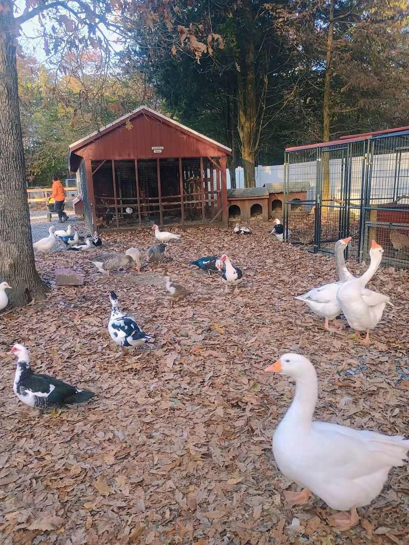 Hundreds Of Residents, Every One With A Backstory