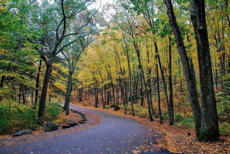 Lincoln Woods State Park