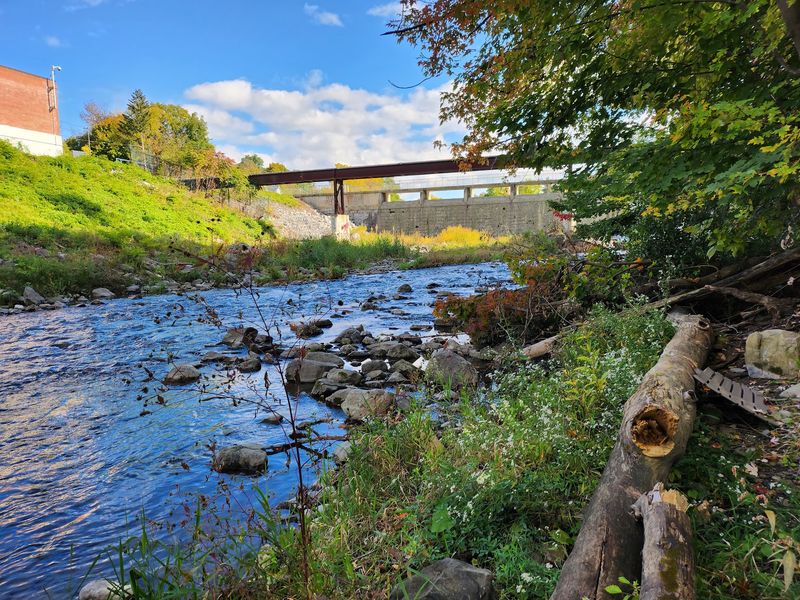 Auburn - Finger Lakes Region