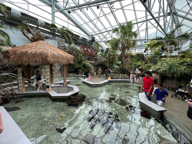 The Butterfly Garden Upstairs