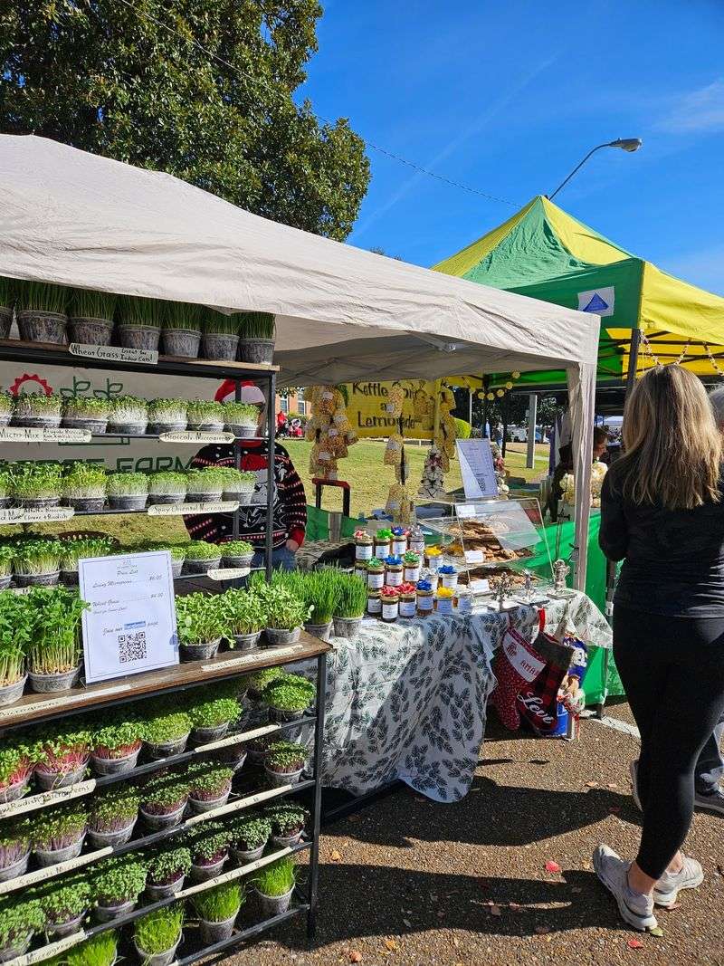 Hernando Farmers Market