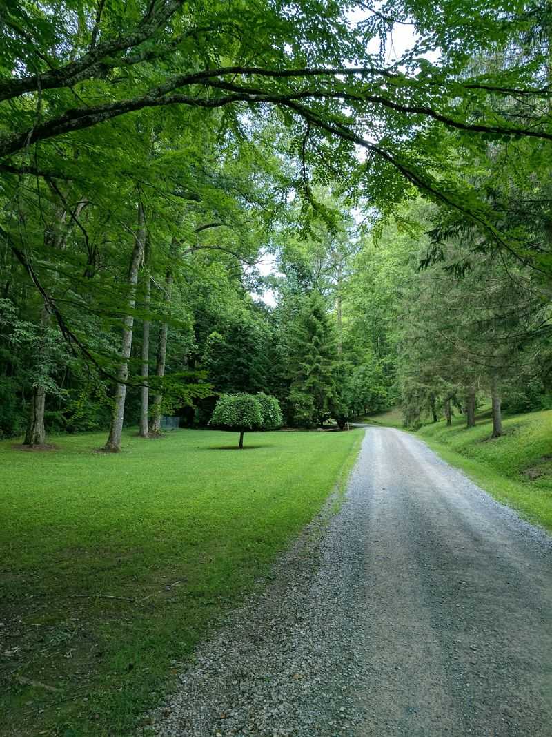 Seven Miles Of Self-Guided Trails, Easy To Moderate