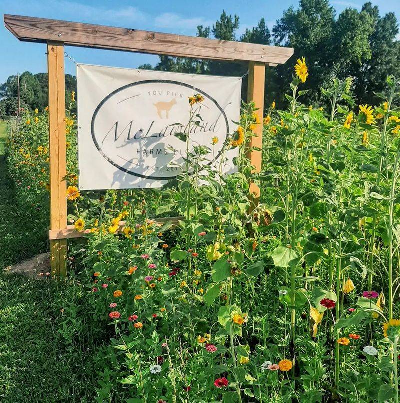 McLawland Farms