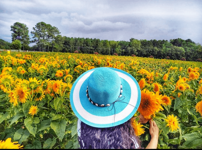 Hill Ridge Farms