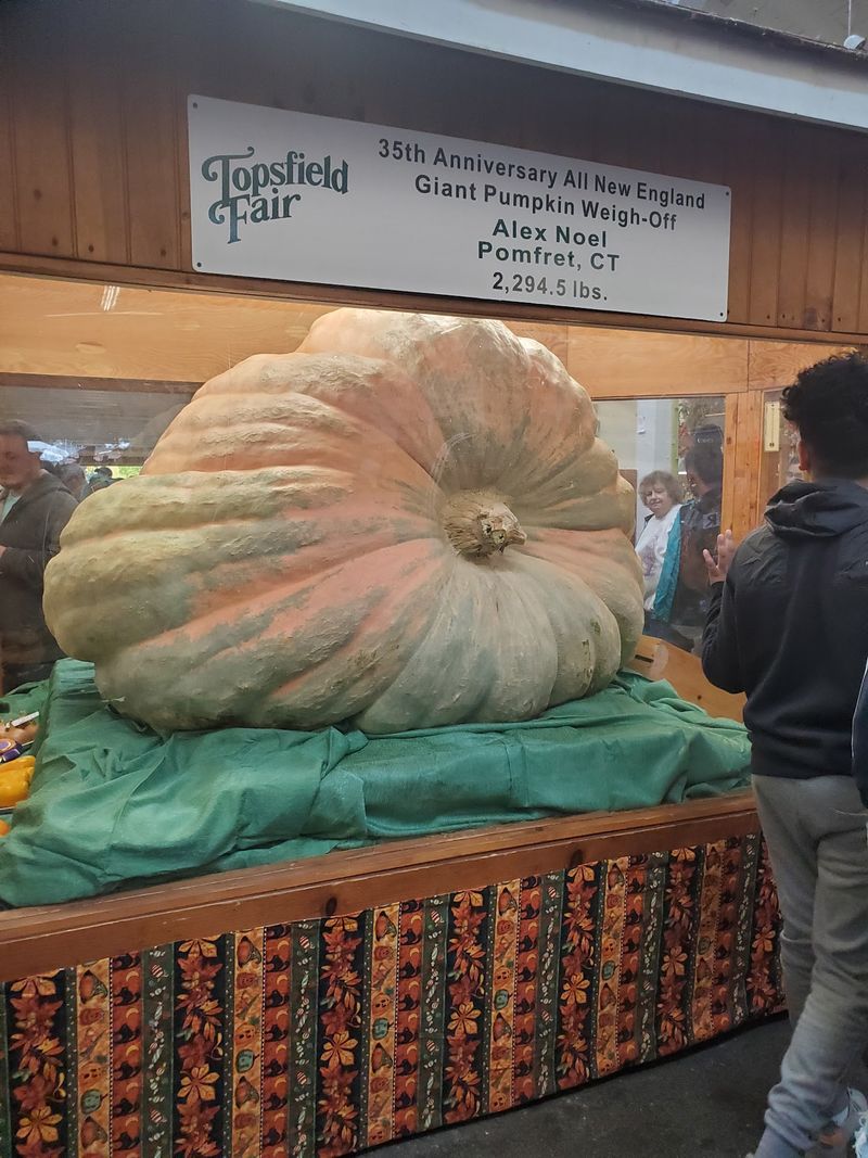 Topsfield Fair