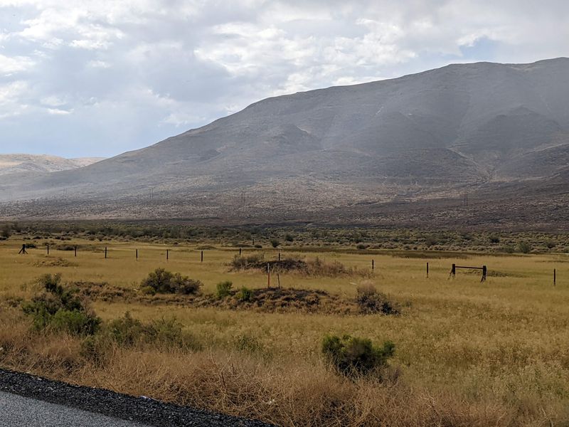 Wild Horses, Big Water, And Open Trails