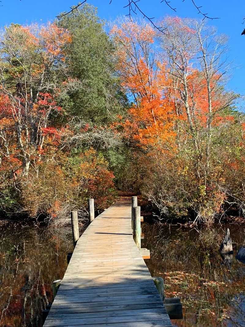 Timing Your Trip Right, Season By Season