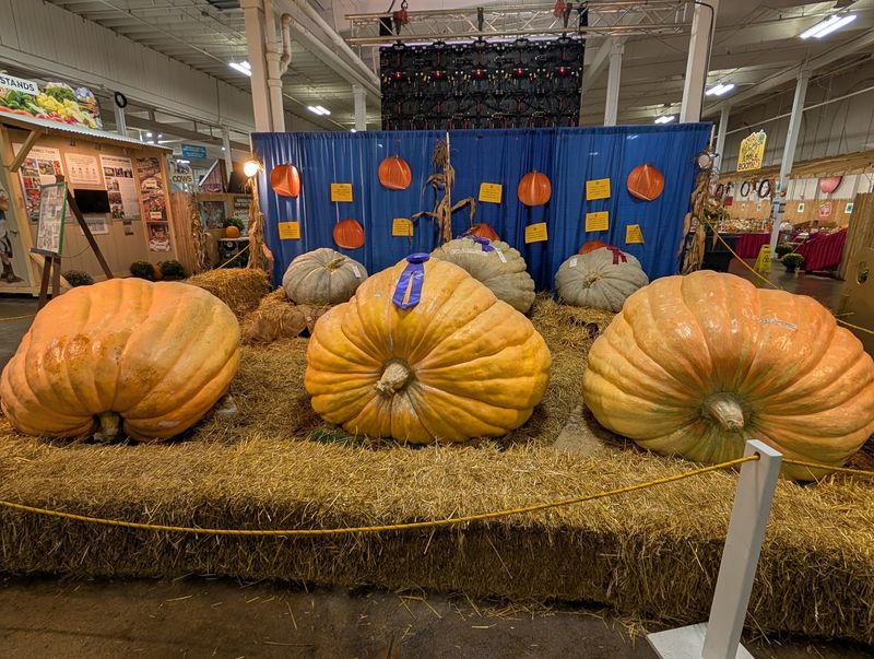 Giant Pumpkins, Prize Ribbons, And Themed Days To Circle