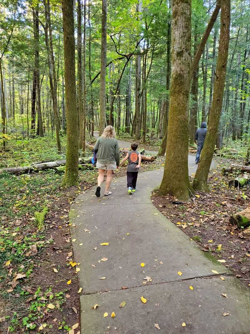 Sugarlands Valley Nature Trail, Great Smoky Mountains National Park, Near Gatlinburg