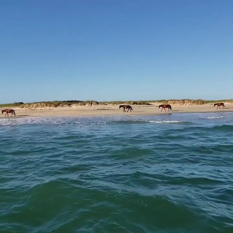 A Barrier Island That Plays Hard To Get