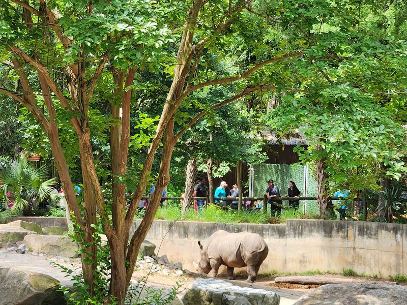A Zoo Born From Big Community Dreams