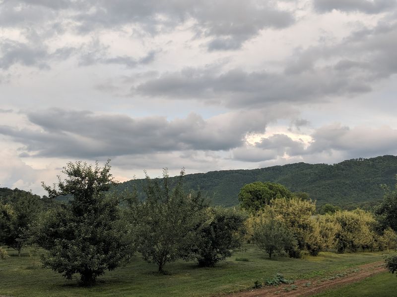Timing Your Trip For Peak Apple Season
