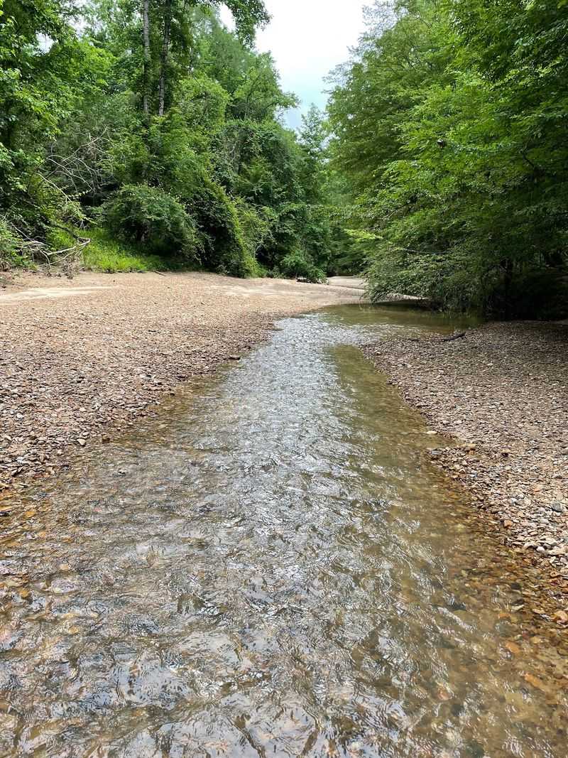 Rocky Springs Trail, Hermanville, MS