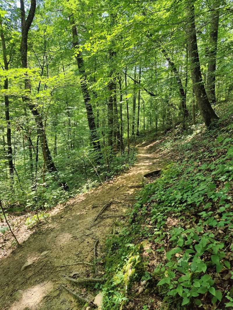 Lost Creek Falls Trail