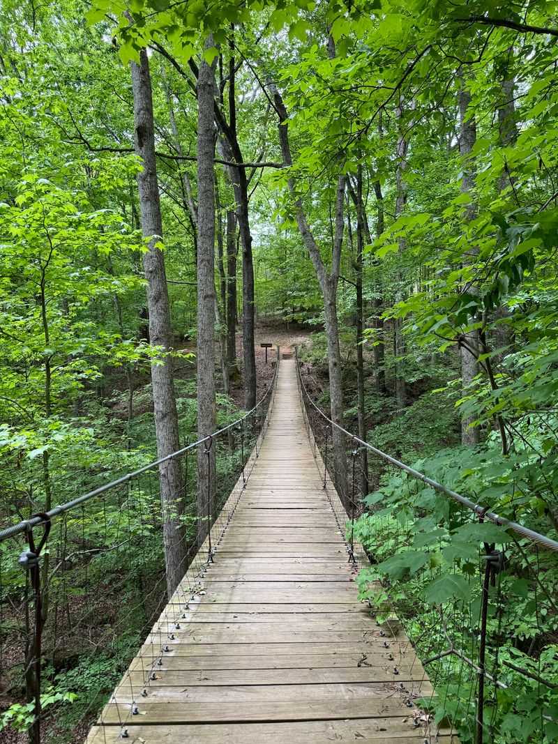 Suspension Bridges And Scenic Overlooks