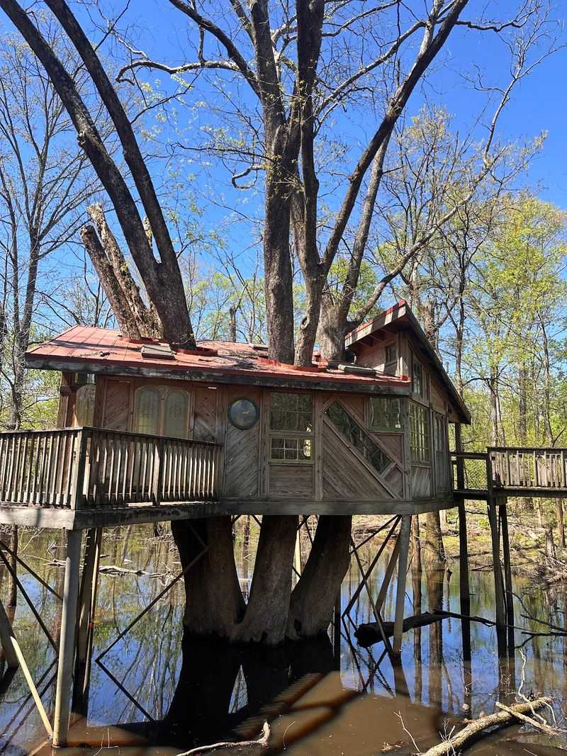 A Discovery Treehouse That Steals The Show