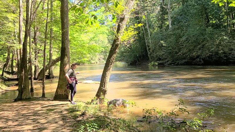 Three Disc Golf Courses And Plenty Of Bragging Rights