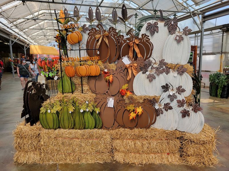 The Verdict On A Northwest Suburban Fall Tradition