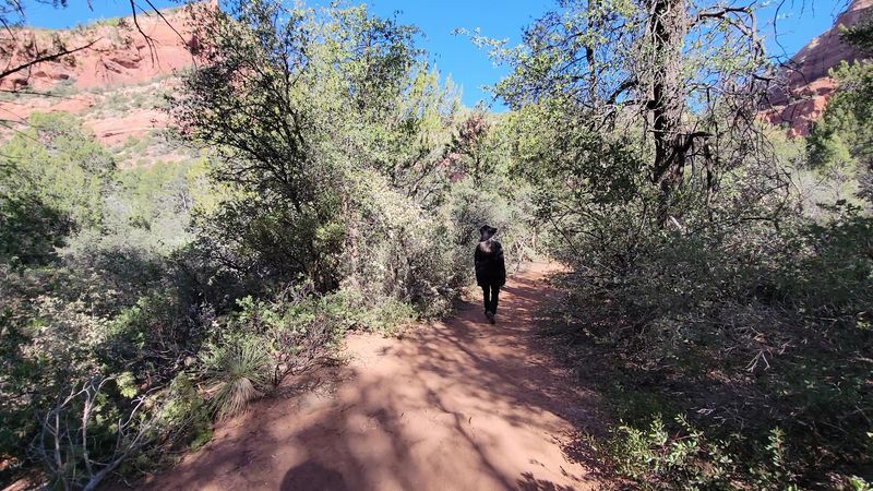 Staying On Track In The Canyon