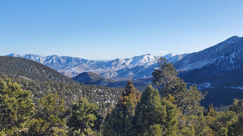 The Drive Along Deer Creek Road