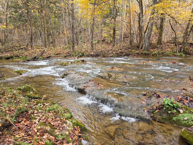 Lakeshore Trail, Warriors' Path State Park, Kingsport