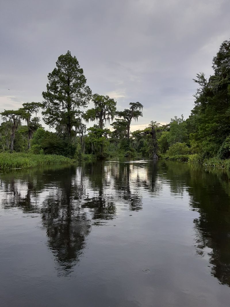Wakulla Springs