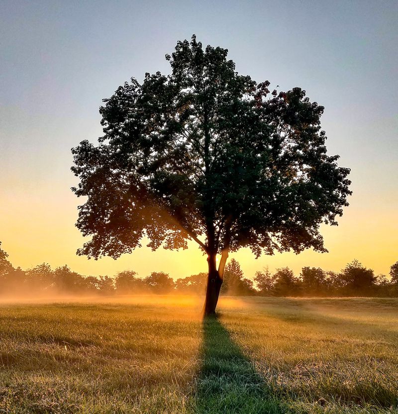 East Goshen Park