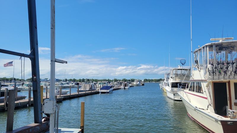 Where The Harbor Says Hello