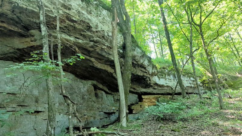 Sinkholes, Ledges, And The Fractured Look Of Karst